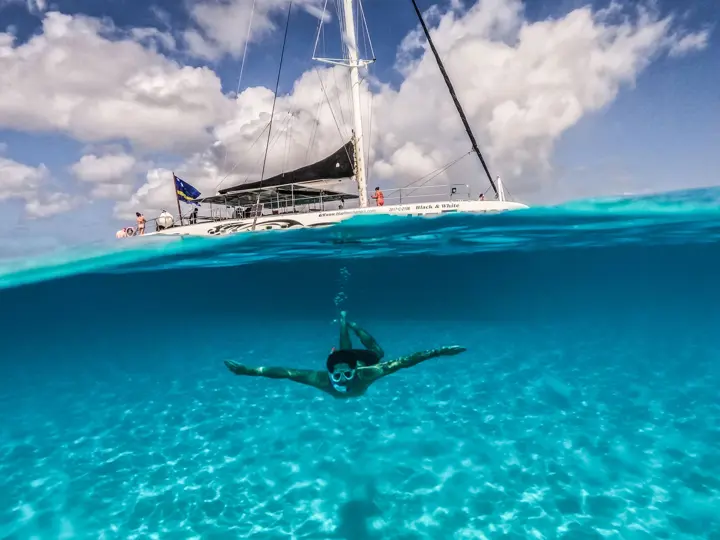 Blue_Finn_West_Coast_2